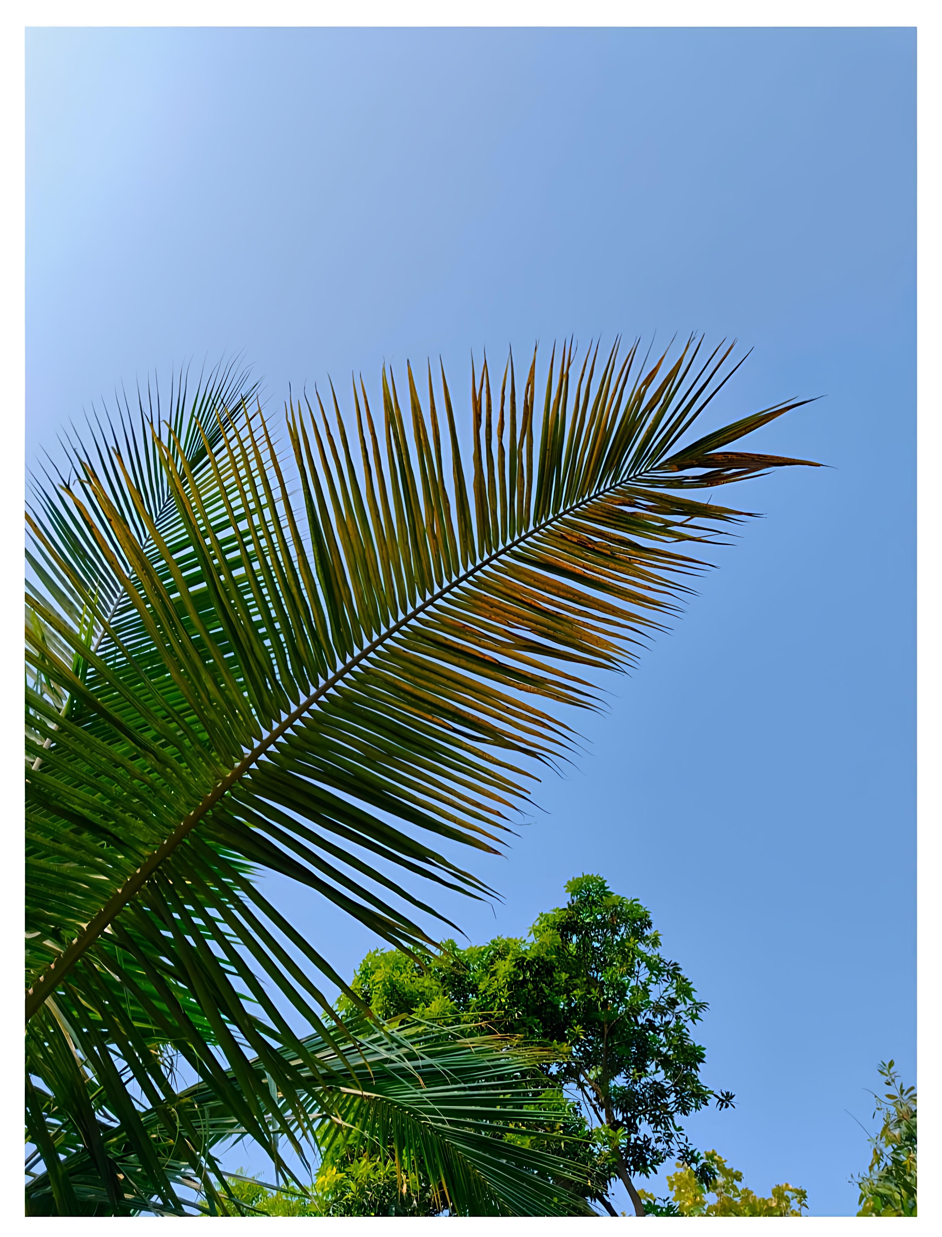 Photography 2