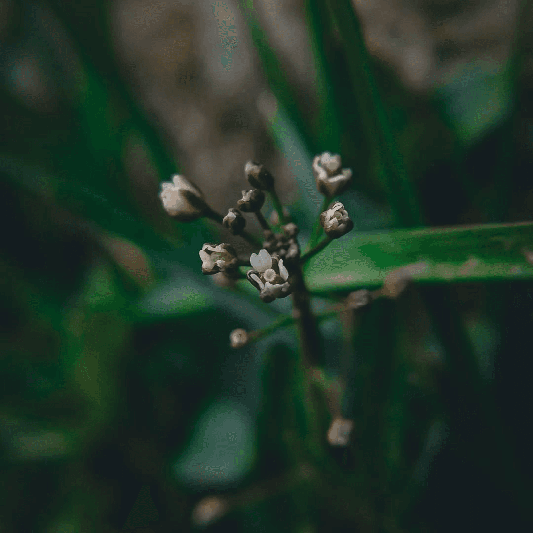 Photography 7