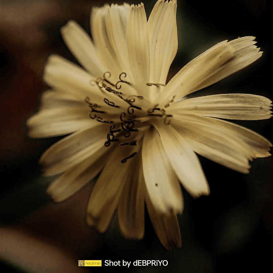 Photography 9
